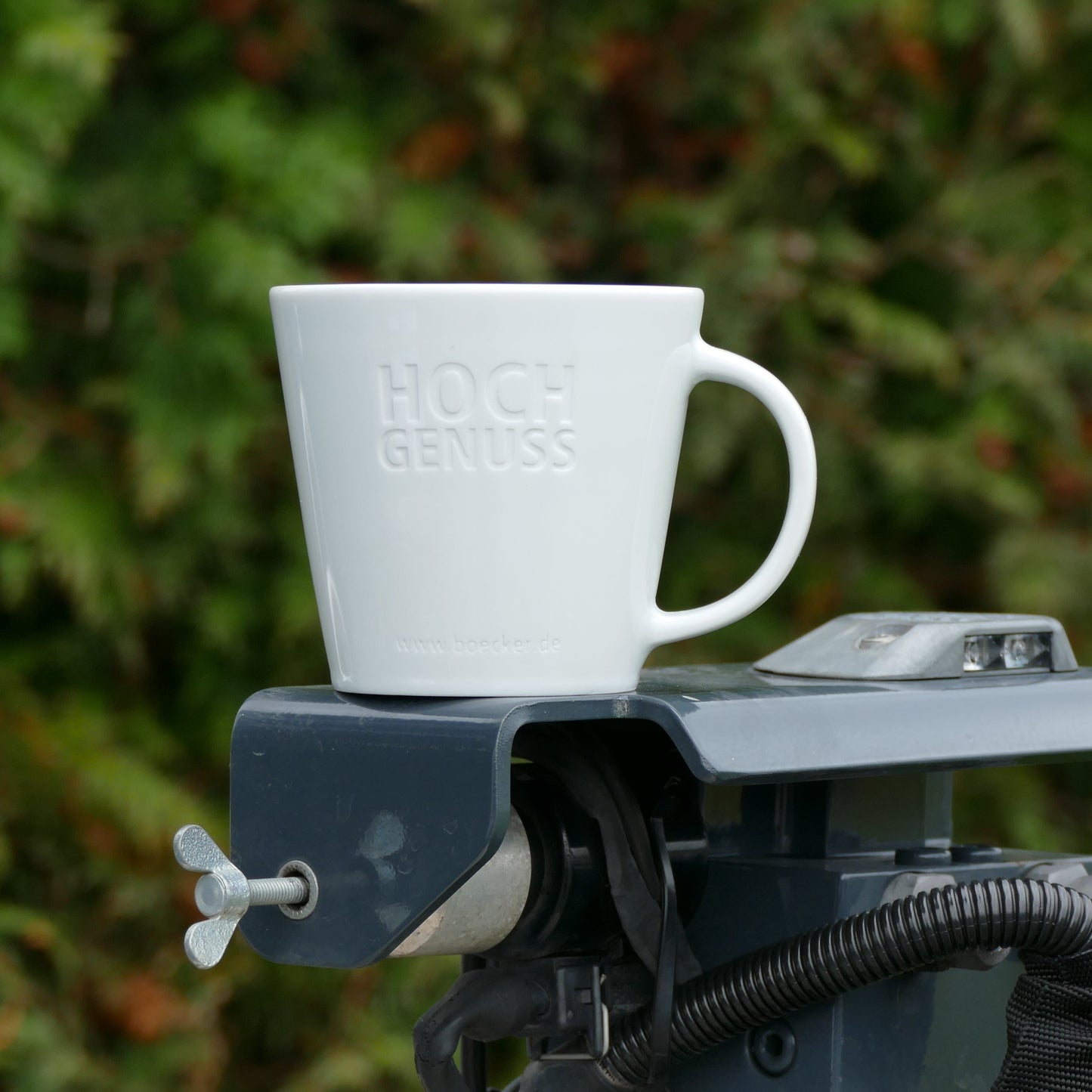 Tasse